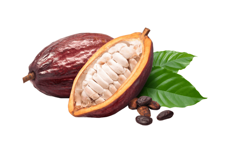 cocoa-rich-home-image
