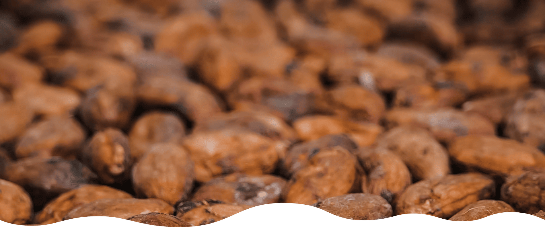 facilies-banner