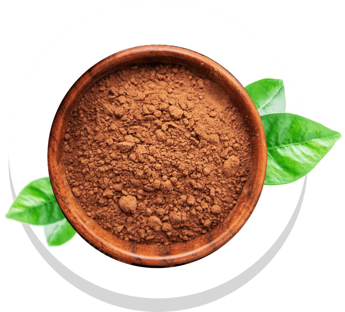 home-cocoa-powder