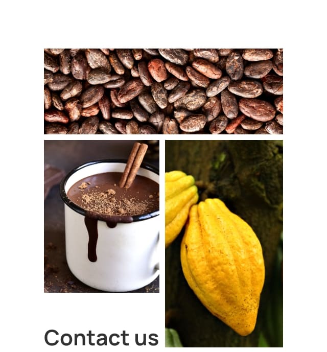 Contact Us Mobile Banner